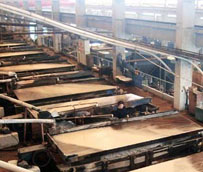 6-S搖床客戶應(yīng)用生產(chǎn)現(xiàn)場(chǎng)